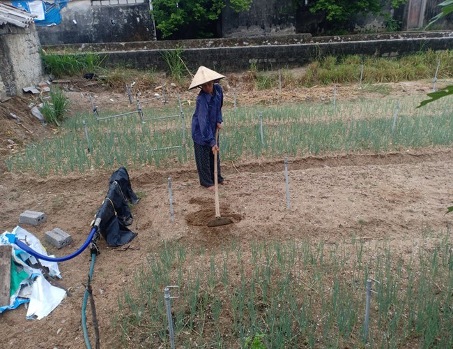 “Cháu không có bố, mẹ mà chết rồi cháu biết sống với ai?” - Ảnh 8.