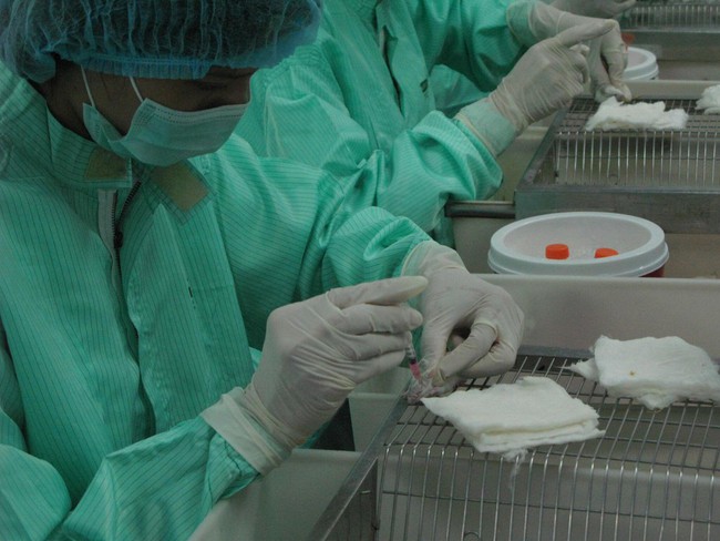 Việt Nam sẽ rút ngắn thời gian thẩm định, thử nghiệm vắc xin COVID-19 - Ảnh 1.