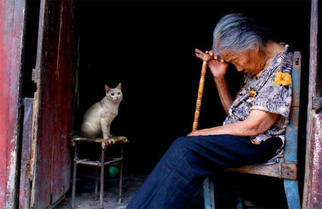 Những người bị thời đại 