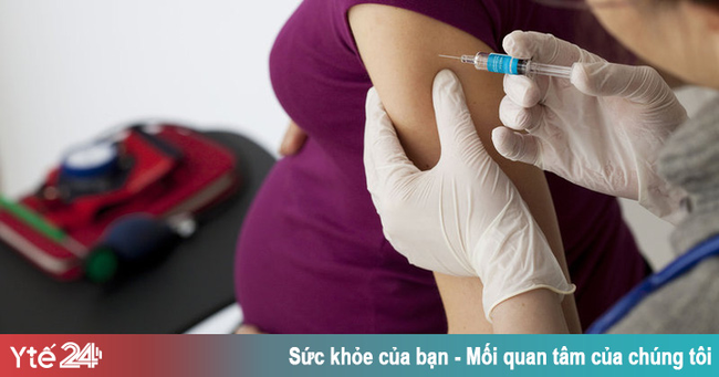 Bạch hầu ảnh hưởng thế nào tới phụ nữ mang thai?