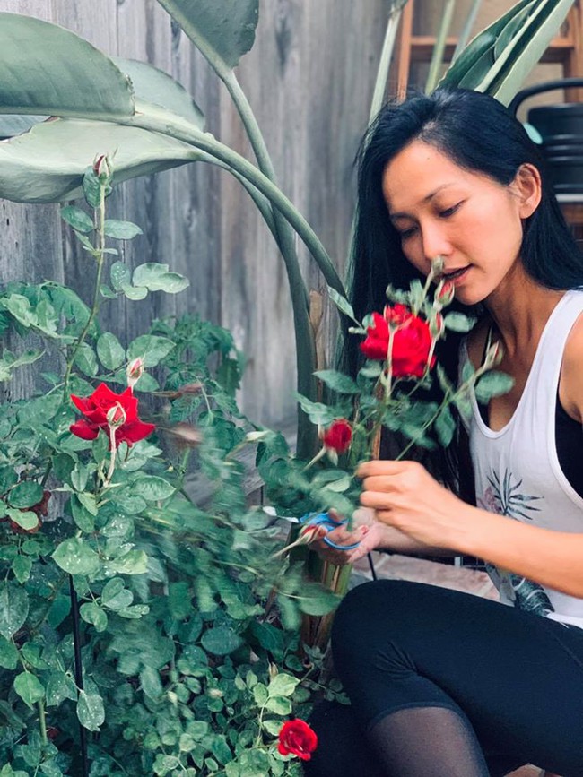 Kim Hiền hái hoa hồng ngoài vườn nhà.