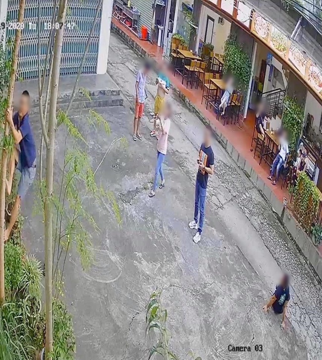 Đoàn khách du lịch đánh đu trên cây đu đủ, nhưng thái độ khi làm cây đổ rạp xuống đường mới khiến dân tình phẫn nộ - Ảnh 1. Đoàn khách du lịch đánh đu trên cây đu đủ, nhưng thái độ khi làm cây đổ rạp xuống đường mới khiến dân tình phẫn nộ - Ảnh 1.