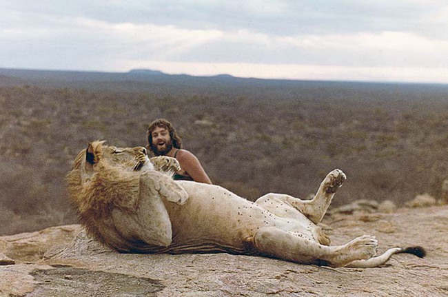 Những bức ảnh khó tin và câu chuyện về chú sư tử được nuôi như thú cưng trước khi trả về tự nhiên và để lại nhiều di sản - Ảnh 9.
