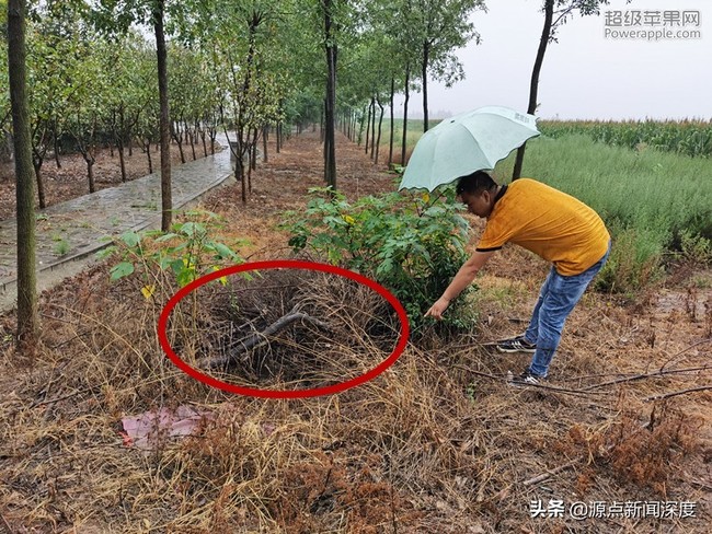 Sau 8 tháng miễn cưỡng kết hôn, cô giáo được tìm thấy chết lõa thể dưới giếng, nghi phạm dù bị bắt nhưng vụ án vẫn bế tắc 17 năm - Ảnh 3.