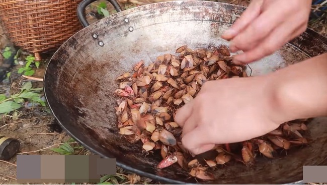 Những màn câu like kinh hãi của Youtuber Việt khi ăn &quot;tất tật&quot; từ cá sống đến gỏi côn trùng rồi cả mỡ lợn nguyên tảng - Ảnh 14.