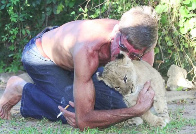 Vừa sinh ra đã bị tách khỏi cha mẹ để tránh bị ăn thịt, sư tử con đến sống với người đàn ông và bắt đầu tình bạn 11 năm kỳ lạ - Ảnh 3.
