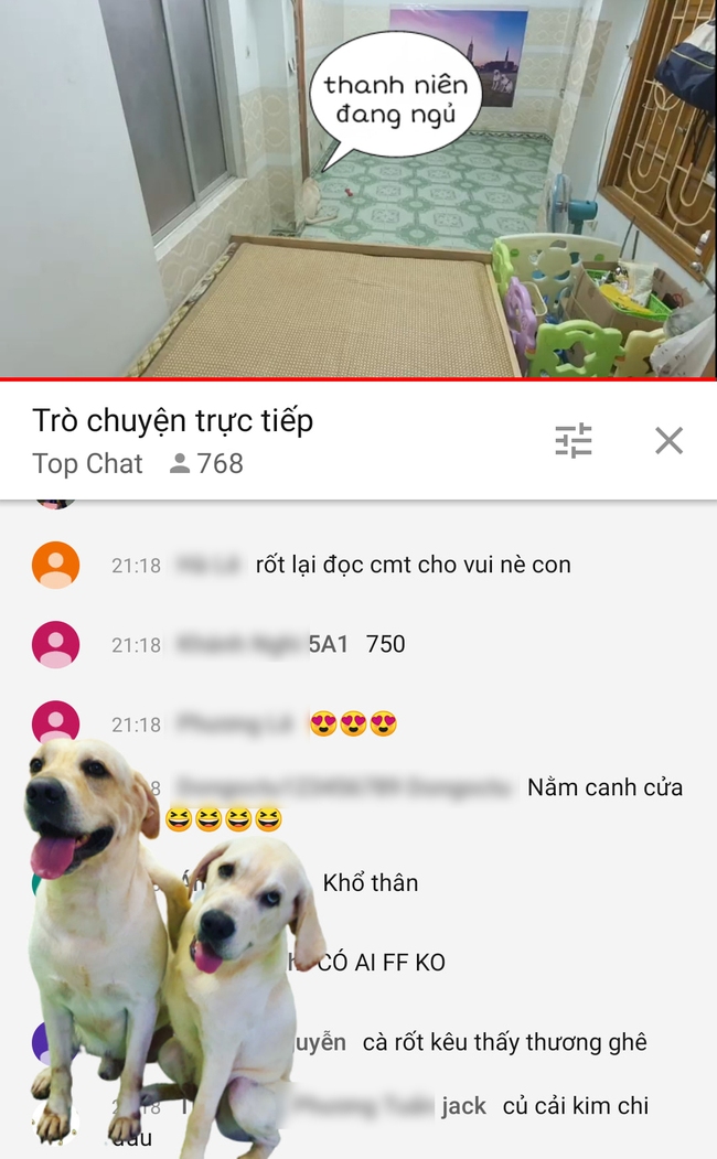 Phát trực tiếp video nhờ trông chó hộ trên Youtube, chủ kênh bất ngờ khi có tới gần 800 người nhận làm công việc tình nguyện này chỉ trong 30 phút - Ảnh 1.