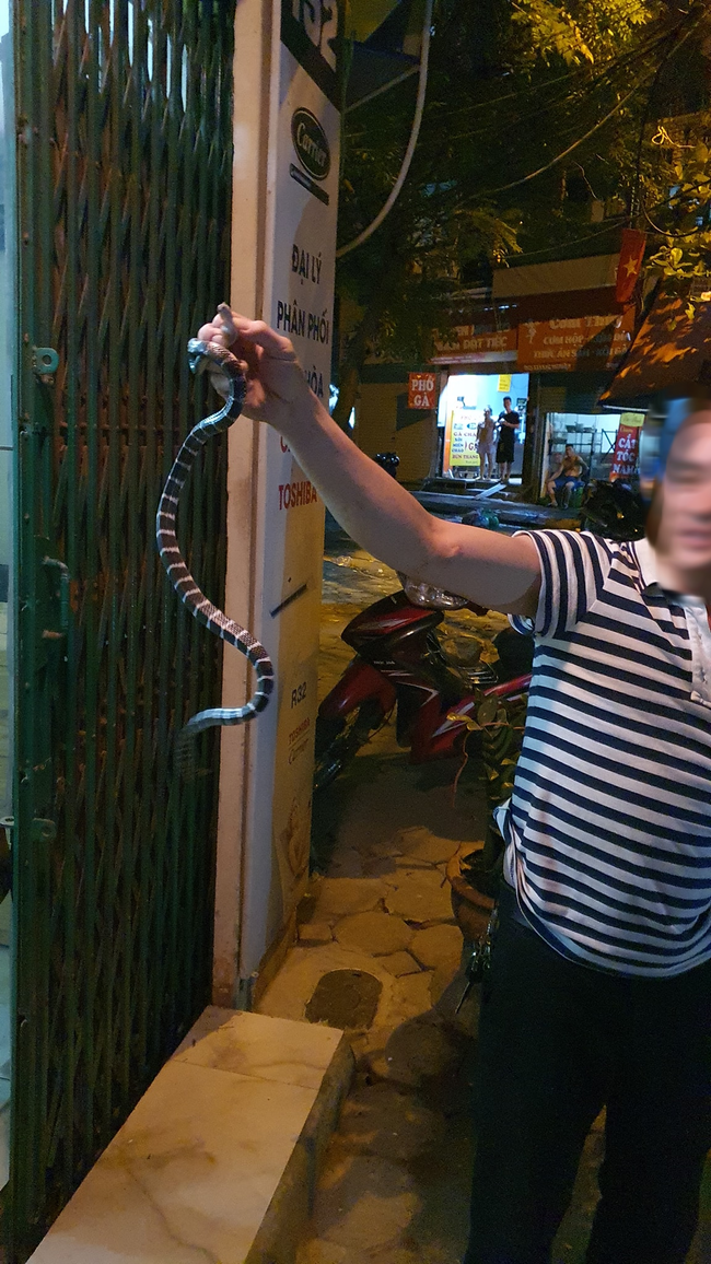 Hà Nội: Sáng đăng tin truy tìm danh tính của chiếc vỏ bé Na trong nhà, tối đến chính chủ đã tự nguyện lộ diện - Ảnh 3. Hà Nội: Sáng đăng tin truy tìm danh tính của chiếc vỏ bé Na trong nhà, tối đến chính chủ đã tự nguyện lộ diện - Ảnh 3.