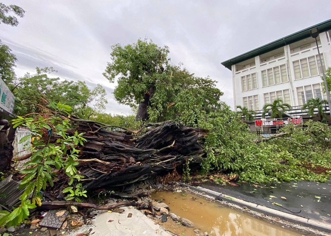 Các địa phương sau bão số 5: Nhiều nhà dân đổ sập hoàn toàn, hàng loạt xế hộp hư hỏng nặng - Ảnh 6. Các địa phương sau bão số 5: Nhiều nhà dân đổ sập hoàn toàn, hàng loạt xế hộp hư hỏng nặng - Ảnh 6.