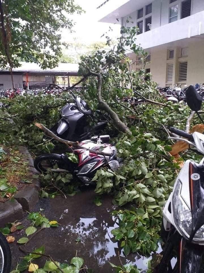 Các địa phương sau bão số 5: Nhiều nhà dân đổ sập hoàn toàn, hàng loạt xế hộp hư hỏng nặng - Ảnh 11. Các địa phương sau bão số 5: Nhiều nhà dân đổ sập hoàn toàn, hàng loạt xế hộp hư hỏng nặng - Ảnh 11.