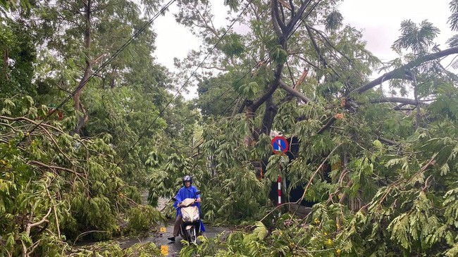 Các địa phương sau bão số 5: Nhiều nhà dân đổ sập hoàn toàn, hàng loạt xế hộp hư hỏng nặng - Ảnh 4. Các địa phương sau bão số 5: Nhiều nhà dân đổ sập hoàn toàn, hàng loạt xế hộp hư hỏng nặng - Ảnh 4.