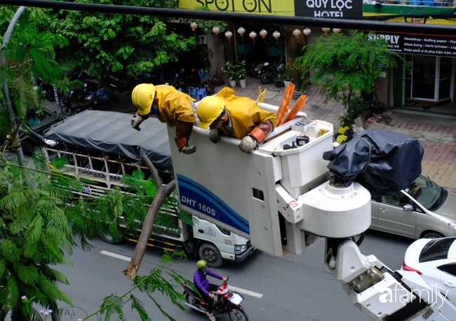 TP.HCM: Công nhân "treo mình" trên xe thang cao cắt cành phượng lớn bị gãy gần đường điện nguy hiểm, giữ an toàn mùa mưa bão - Ảnh 3.