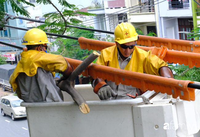 TP.HCM: Công nhân &quot;treo mình&quot; trên xe thang cao cắt cành phượng lớn bị gãy gần đường điện nguy hiểm, giữ an toàn mùa mưa bão - Ảnh 8.