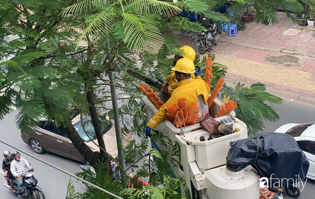 TP.HCM: Công nhân "treo mình" trên xe thang cao cắt cành phượng lớn bị gãy gần đường điện nguy hiểm, giữ an toàn mùa mưa bão - Ảnh 1.