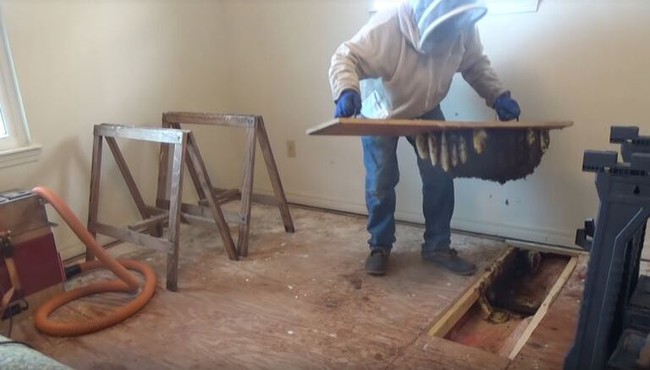 Nghe âm thanh phát ra từ miếng ván sàn bằng gỗ, người phụ nữ gọi điện cầu cứu mới phát hiện thứ không tưởng bên dưới - Ảnh 3. Nghe âm thanh phát ra từ miếng ván sàn bằng gỗ, người phụ nữ gọi điện cầu cứu mới phát hiện thứ không tưởng bên dưới - Ảnh 3.