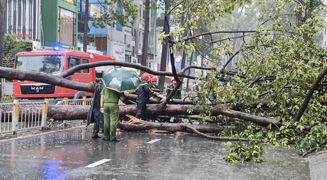 Người đàn ông bị cây lớn bật gốc, ngã đè trong mưa lớn tại TP.HCM đã tử vong - Ảnh 3. Người đàn ông bị cây lớn bật gốc, ngã đè trong mưa lớn tại TP.HCM đã tử vong - Ảnh 3.