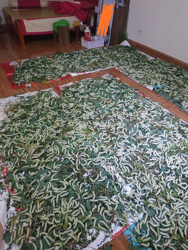 Con dâu đang mang bầu đến tháng thứ 8 nhưng được Con dâu đang mang bầu đến tháng thứ 8 nhưng được
