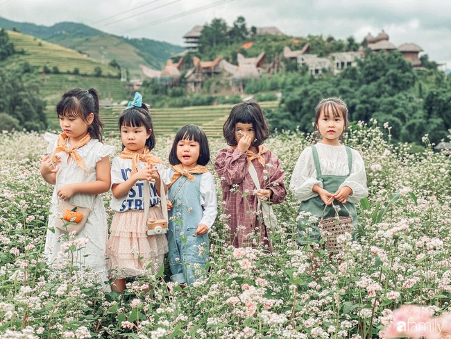 Bộ ảnh &quot;nhà có 5 nàng tiên&quot; rủ nhau lên Mù Cang Chải đẹp như tranh khiến người lớn cũng phải mê mệt - Ảnh 8.