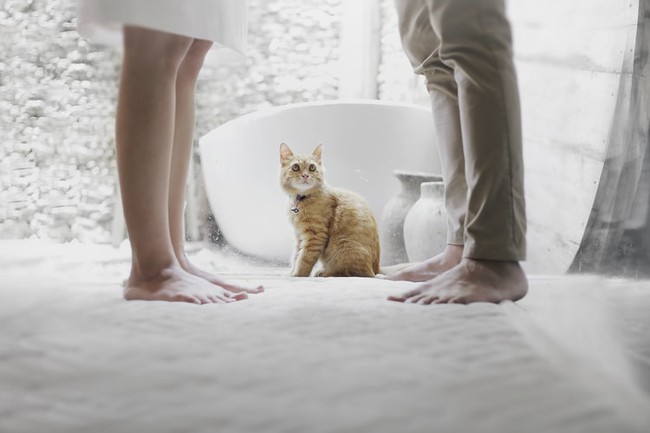 Trước khi tìm bến đỗ hay quyết định ở lại mãi mãi, dưới đây là 3 kiểu đàn ông mà phụ nữ từng yêu đến chết đi sống lại - Ảnh 3. Trước khi tìm bến đỗ hay quyết định ở lại mãi mãi, dưới đây là 3 kiểu đàn ông mà phụ nữ từng yêu đến chết đi sống lại - Ảnh 3.
