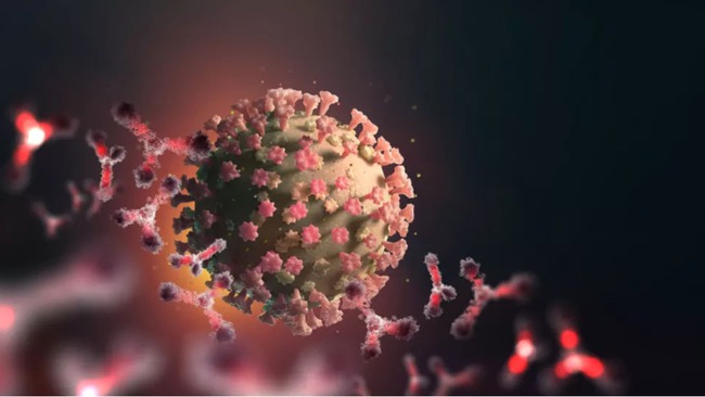 Hai biến thể hoàn toàn mới của virus SARS-CoV-2 được phát hiện ở Mỹ - Ảnh 1. Hai biến thể hoàn toàn mới của virus SARS-CoV-2 được phát hiện ở Mỹ - Ảnh 1.