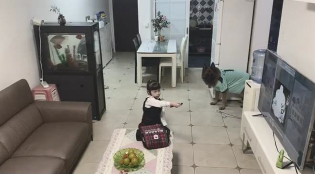 Chú chó &quot;lập mưu&quot; ép bé gái làm bài tập bằng được trong khi người lớn đi vắng khiến dân mạng phục lăn - Ảnh 5.