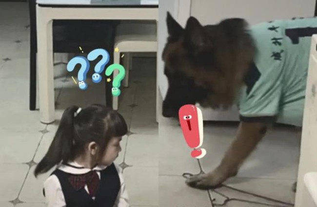 Chú chó &quot;lập mưu&quot; ép bé gái làm bài tập bằng được trong khi người lớn đi vắng khiến dân mạng phục lăn - Ảnh 4.