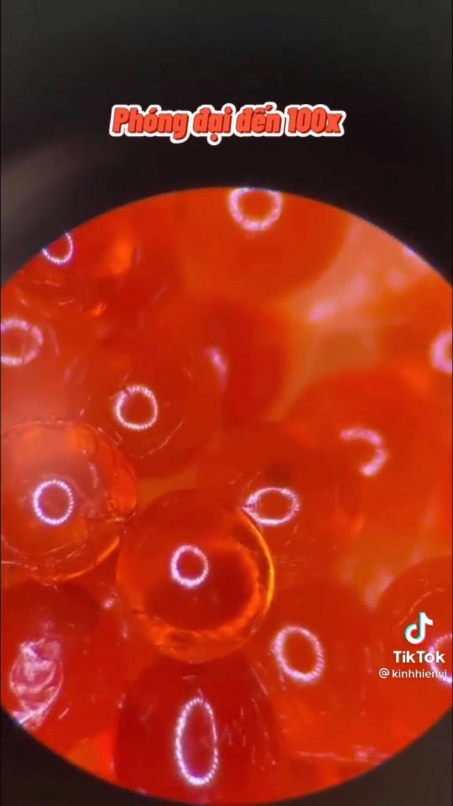 Xem clip soi trứng cá hồi sống dưới kính hiển vi, thứ hiện ra khiến ai nấy đều bất ngờ  - Ảnh 4.