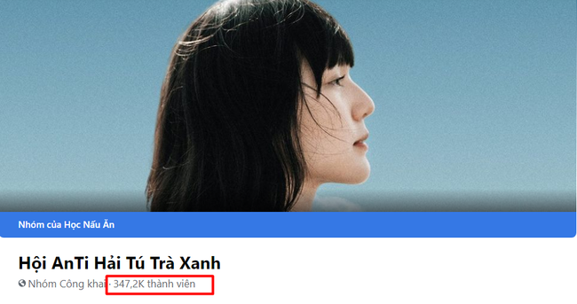 Toàn cảnh “drama” Sơn Tùng - Thiều Bảo Trâm và “em gái trà xanh”: - Ảnh 8.