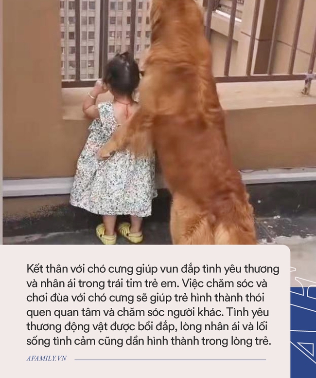 Thấy cậu chủ bị bố dọa đánh, chú chó cưng đã đã lao đến và có một hành động khiến ai cũng "lịm tim" - Ảnh 5. Con trai nhỏ mắc lỗi bị bố giơ gậy dọa đánh, anh chưa kịp làm gì thì chú chó đã lao đến và có một hành động khiến người xem "lịm tim" - Ảnh 5.