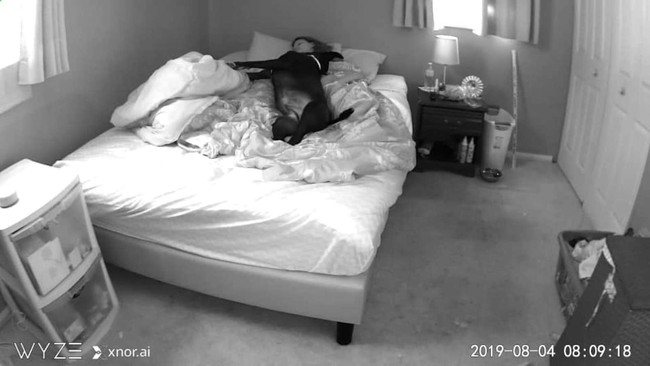 Gặp vấn đề ngủ nghê khi ngủ cùng chú chó cưng, cô gái lắp camera mới biết chính mình là &quot;thủ phạm&quot; còn con vật thì ngoan ơi là ngoan - Ảnh 2.