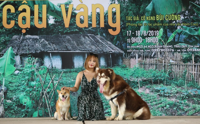 Bất ngờ về chú chó Shiba trong phim Cậu Vàng: Từ một chú chó bị tự kỷ, hay cắn người đến một &quot;diễn viên 4 chân duy nhất trên màn ảnh Việt&quot; được mọi người yêu thương - Ảnh 7.