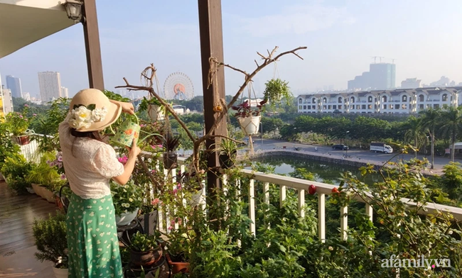 Ban công rực rỡ với những cây dễ trồng, dễ chăm của nữ nghệ sĩ Trịnh Huyền - Ảnh 12.