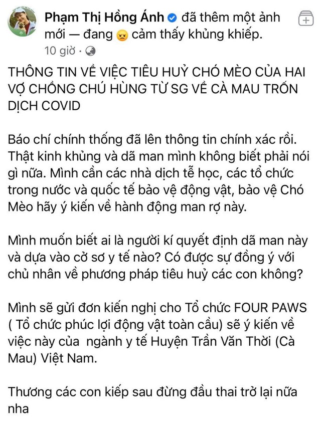Loạt sao Việt lên tiếng trước vụ việc 15 chú chó bị thiêu hủy: Hồng Ánh gửi đơn kiến nghị lên tổ chức quốc tế - Ảnh 1.
