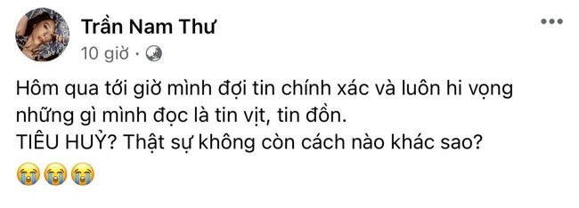 Loạt sao Việt lên tiếng trước vụ việc 15 chú chó bị thiêu hủy: Hồng Ánh gửi đơn kiến nghị lên tổ chức quốc tế - Ảnh 6. Loạt sao Việt lên tiếng trước vụ việc 15 chú chó bị thiêu hủy: Hồng Ánh gửi đơn kiến nghị lên tổ chức quốc tế - Ảnh 6.