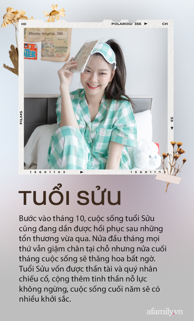 Vận may của 12 con giáp trong nửa cuối tháng 10: Người gặp toàn hỷ sự, tình tiền cũng thăng hoa, người mất mát đủ rồi đến lúc đổi đời thôi - Ảnh 2.