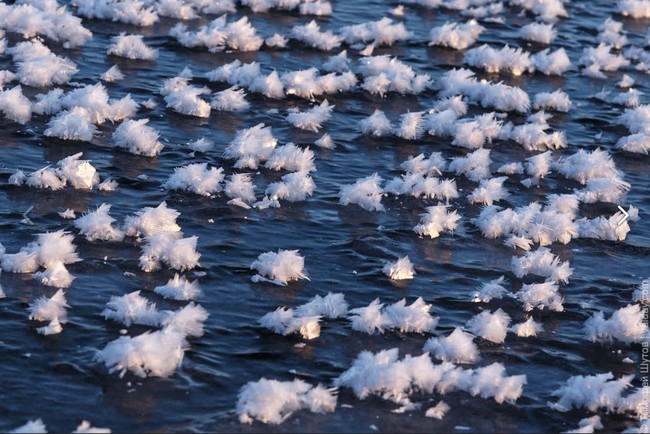 Hàng triệu bông hoa trắng muốt nở giữa lòng hồ -20 độ: Kỳ quan thiên nhiên hay phép màu của mùa đông phương Bắc? - Ảnh 2.
