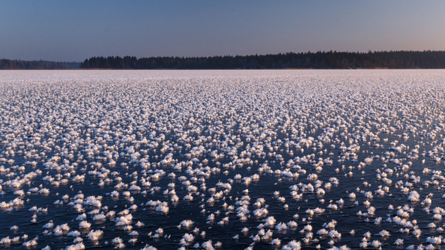 Hàng triệu bông hoa trắng muốt nở giữa lòng hồ -20 độ: Kỳ quan thiên nhiên hay phép màu của mùa đông phương Bắc? - Ảnh 1.