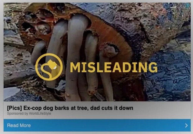 Internet lan truyền chóng mặt bức ảnh rùng rợn kèm câu chuyện kinh dị về chú chó cảnh sát phát hiện xác người trong thân cây, thực hư ra sao? - Ảnh 2.
