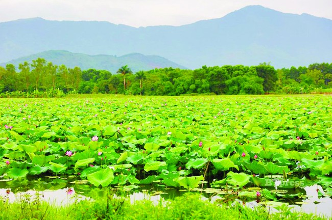 Sinh viên Hà Nội sắp chuyển vào &quot;nhà mới&quot; vừa hoành tráng vừa siêu lãng mạn, background sống ảo lung linh như bối cảnh phim Hàn Quốc - Ảnh 3.