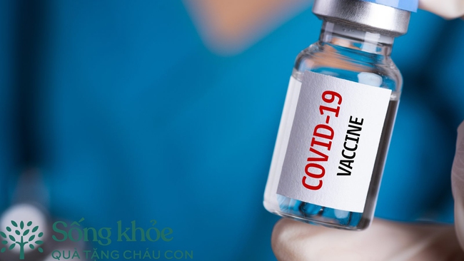 Người cao tuổi tiêm các loại vắc-xin Covid-19 khác nhau có thể có các phản ứng khác nhau không? - Ảnh 2.