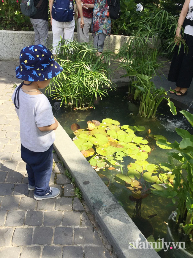 Lời cầu cứu của mẹ Hà Nội nuôi 2 con nhỏ: "Tôi phải chết đi thì con mới thực sự hạnh phúc, sự tồn tại của tôi quá độc hại với con" - Ảnh 2. Lời cầu cứu của mẹ Hà Nội nuôi 2 con nhỏ: "Tôi phải chết đi thì con mới thực sự hạnh phúc, sự tồn tại của tôi quá độc hại với con" - Ảnh 2.