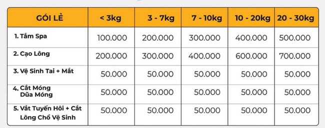 Nhiều người xem thú cưng như &quot;con&quot;, mỗi tháng chi một khoảng tiền không nhỏ để chăm sóc chúng - Ảnh 4.