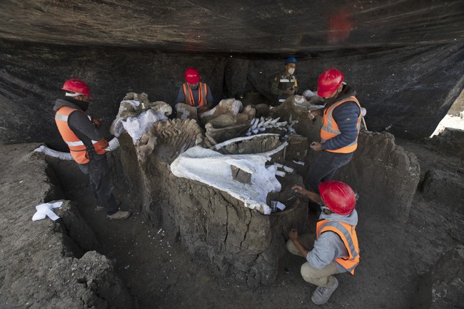 Đào mộ chôn xác người chết, nhân viên nghĩa trang phát hiện dấu hiệu lạ mở ra một bí mật "khổng lồ" chôn vùi 10.000 năm - Ảnh 3.