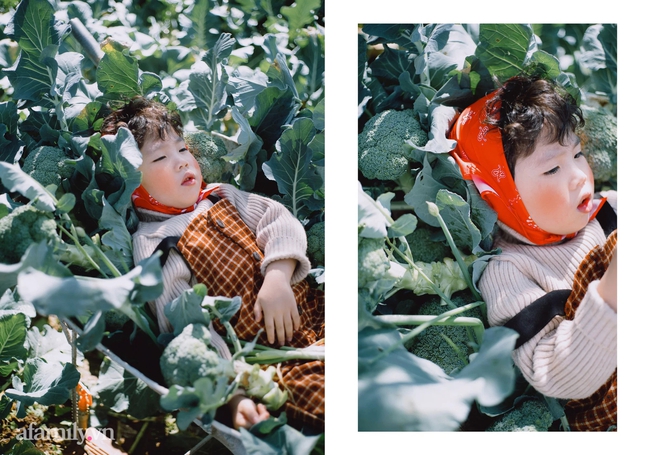 Bé trai tóc xoăn nẻ má gây &quot;sốt&quot; khi chụp ảnh giữa vườn súp lơ: Đã đi gần hết Việt Nam, 5 lần xuất ngoại, được chụp hơn 50k bức ảnh - Ảnh 15.
