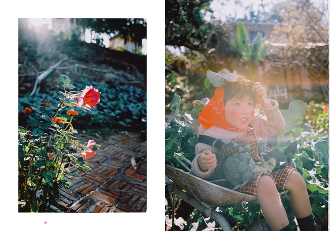 Bé trai tóc xoăn nẻ má gây &quot;sốt&quot; khi chụp ảnh giữa vườn súp lơ: Đã đi gần hết Việt Nam, 5 lần xuất ngoại, được chụp hơn 50k bức ảnh - Ảnh 7.