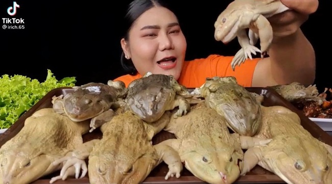 Vlogger Thái Lan làm clip món ăn đặc sản nhưng lại khiến người xem chết khiếp vì cách chế biến quá độc dị - Ảnh 3.