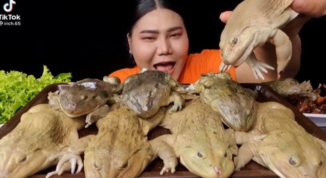 Vlogger Thái Lan làm clip món ăn đặc sản nhưng lại khiến người xem chết khiếp vì cách chế biến quá độc dị - Ảnh 2.