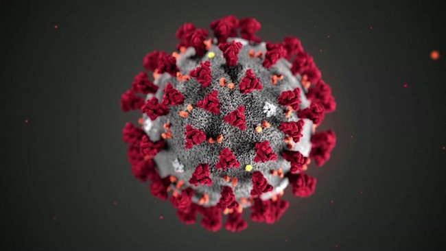 Vì sao biến chủng của virus SARS-CoV-2 xuất hiện ngày càng nhiều và qua mặt hệ miễn dịch? - Ảnh 2.