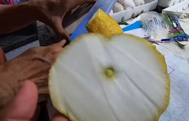 Loại quả kỳ lạ gây sốt ở Sài Gòn với tên gọi "trái kỳ đà", to gần bằng người ôm và có giá cả triệu đồng 1 quả - Ảnh 5. Loại quả kỳ lạ gây sốt ở Sài Gòn với tên gọi "trái kỳ đà", to gần bằng người ôm và có giá cả triệu đồng 1 quả - Ảnh 5.