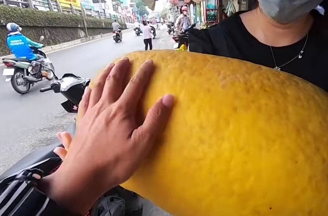 Loại quả kỳ lạ gây sốt ở Sài Gòn với tên gọi "trái kỳ đà", to gần bằng người ôm và có giá cả triệu đồng 1 quả - Ảnh 4. Loại quả kỳ lạ gây sốt ở Sài Gòn với tên gọi "trái kỳ đà", to gần bằng người ôm và có giá cả triệu đồng 1 quả - Ảnh 4.